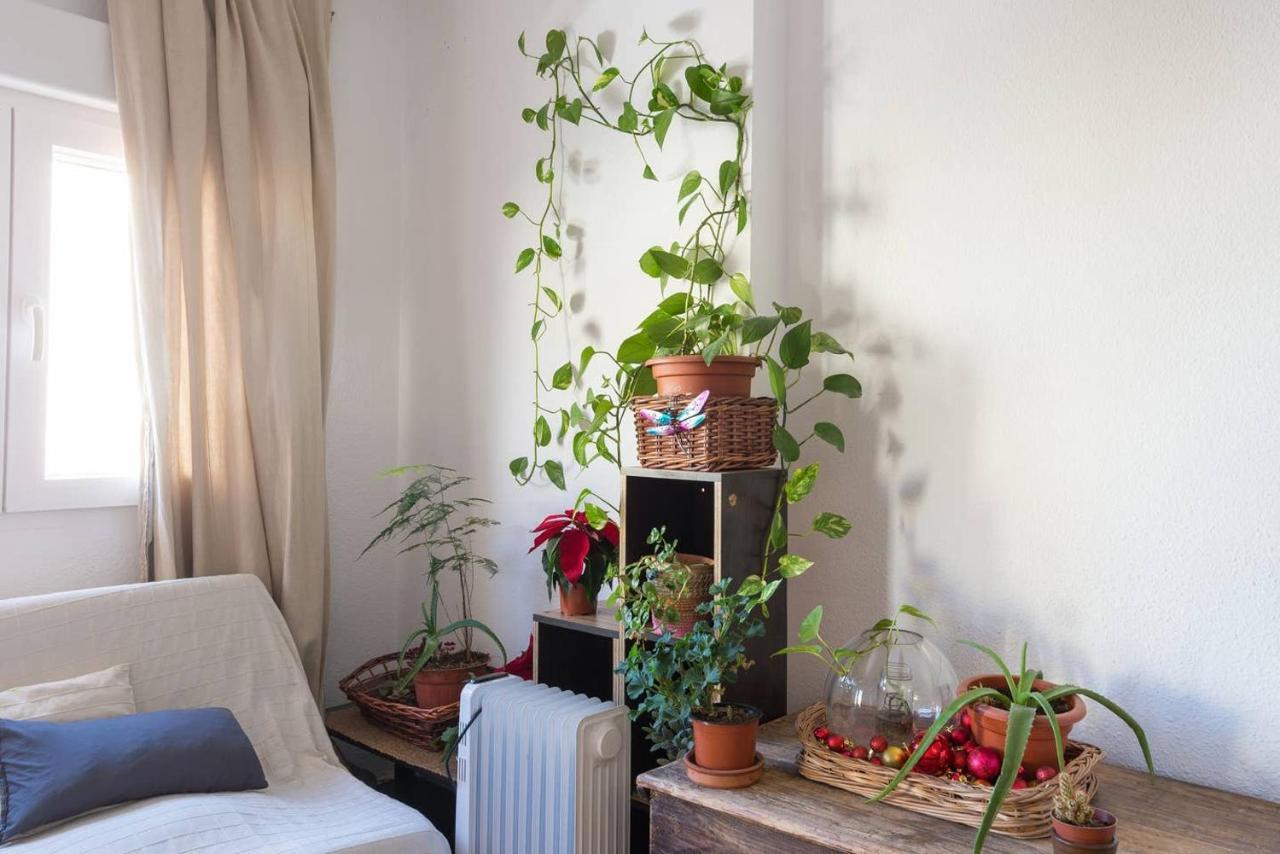 House Fata Apartment Malaga Bagian luar foto